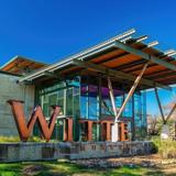 Witte Museum