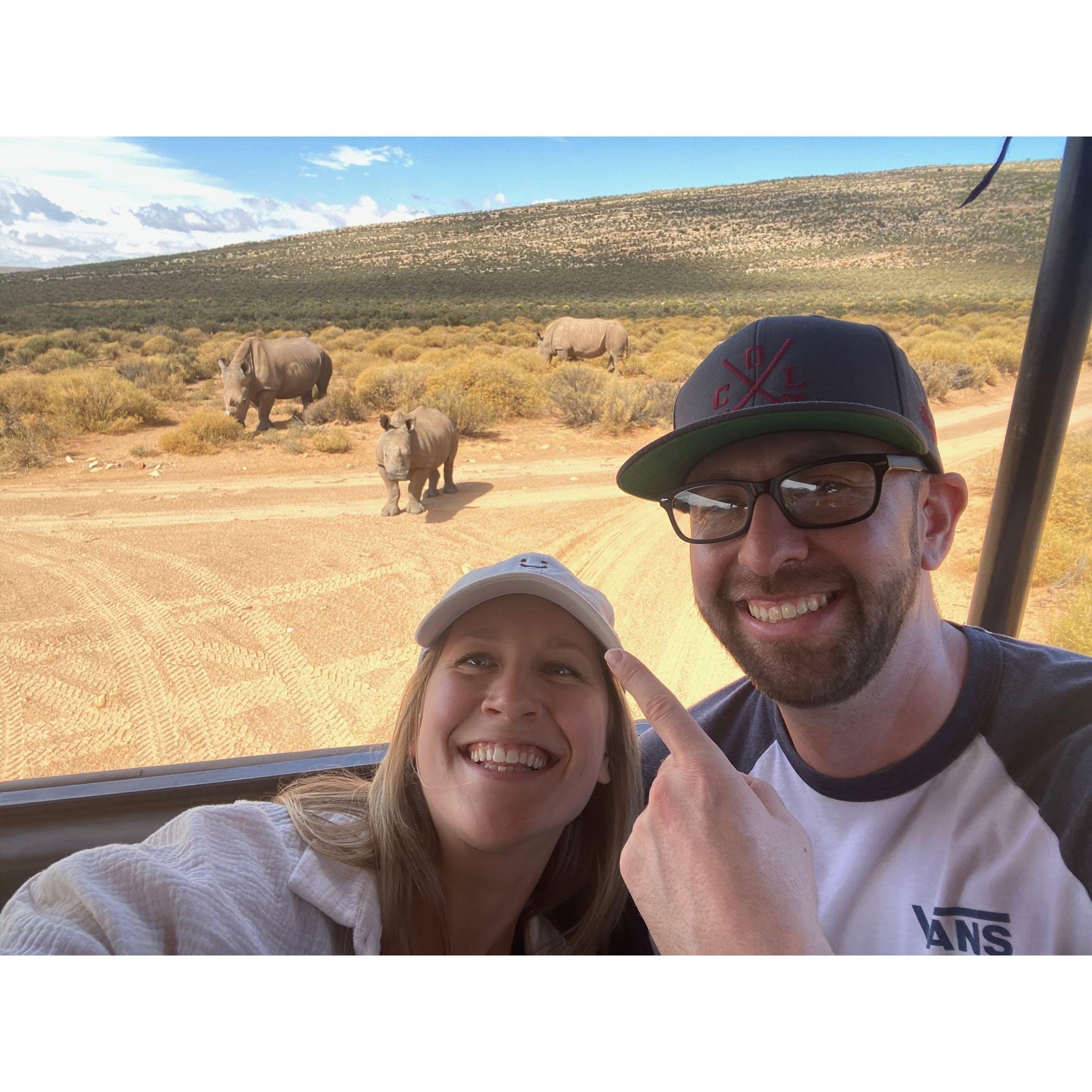 South African Safari