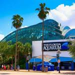 The Florida Aquarium