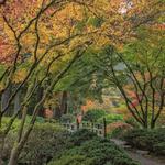 Portland Japanese Garden
