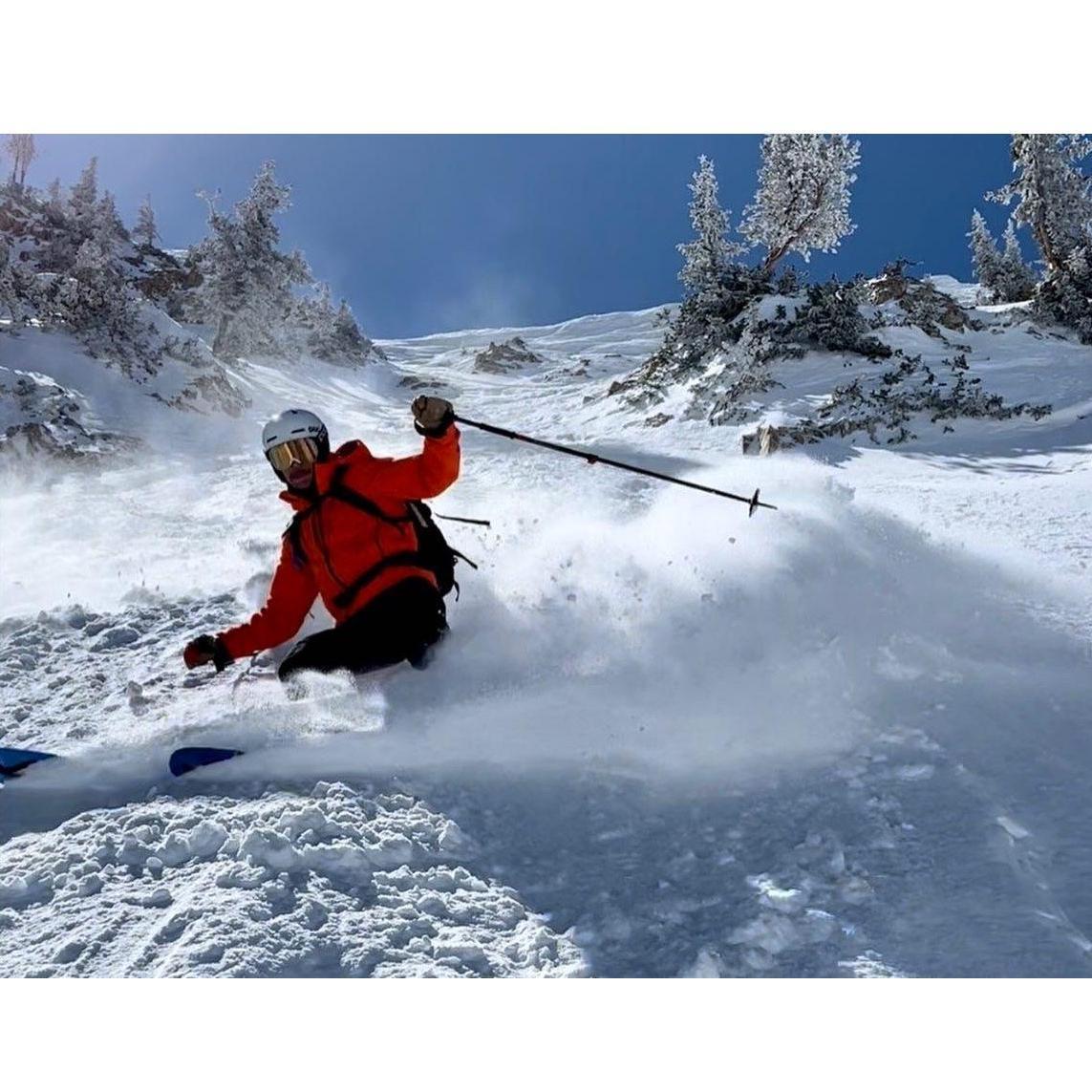 Shredding in Alta