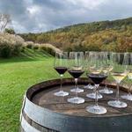 Glen Manor Vineyards