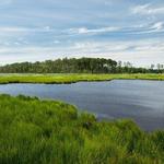 Blackwater National Wildlife Refuge Visitor Center