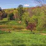⛳ Shephard Hills Golf Course