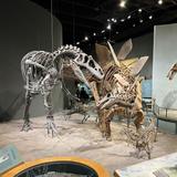 Denver Museum of Nature and Science Park