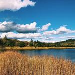 Trione-Annadel State Park