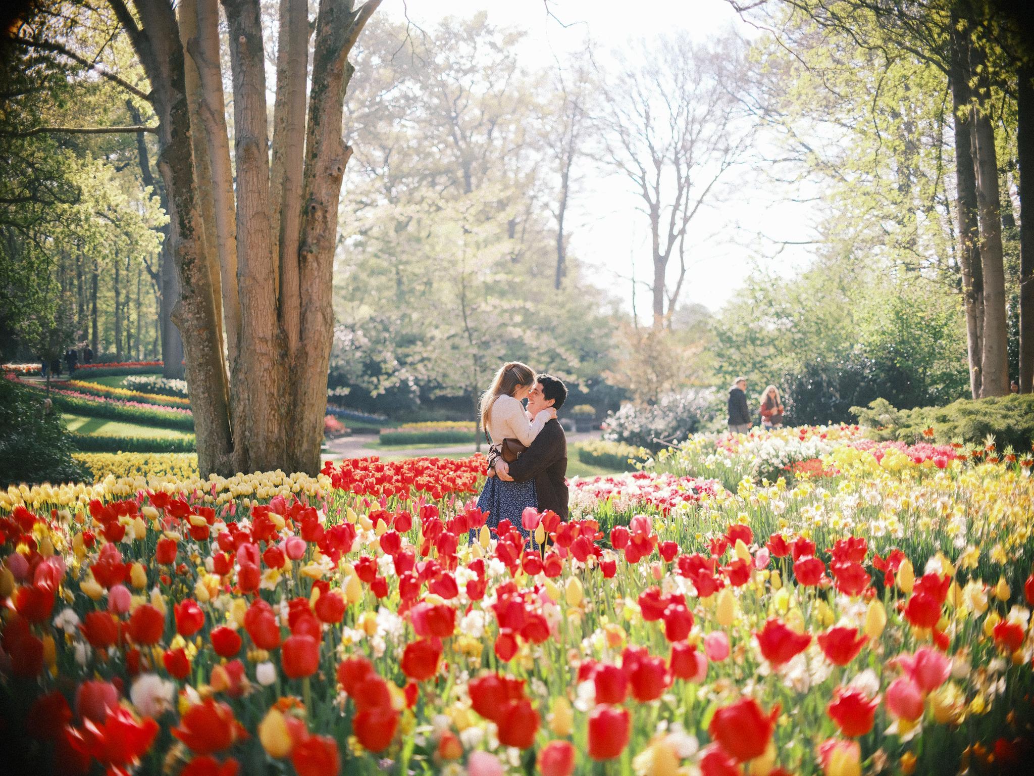 The Wedding Website of Olivia Brodsky and Luca Signorini