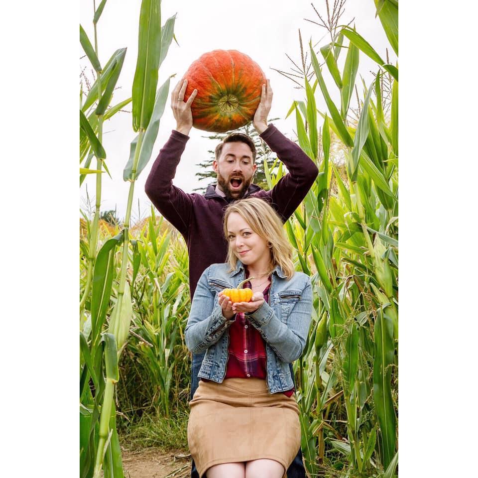 Casual murder in a cornfield.