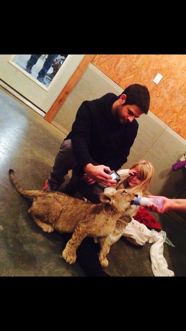 Playing with a 12 week old baby lion!