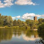 McKinley Park