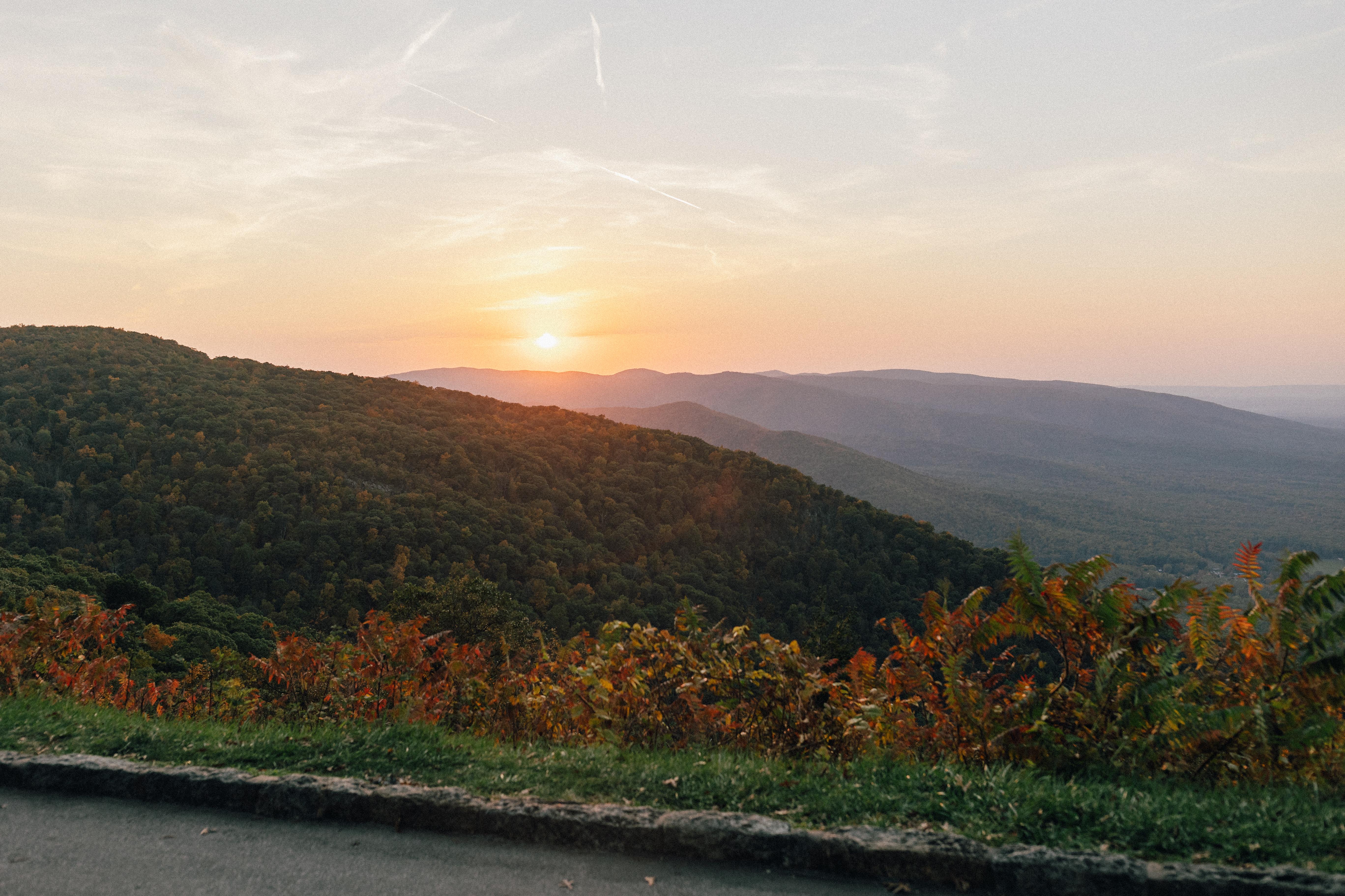 The Wedding Website of Andrea Weed and Kenneth Sands