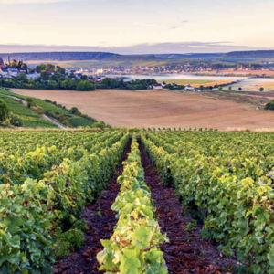 Wine tasting in French countryside!
