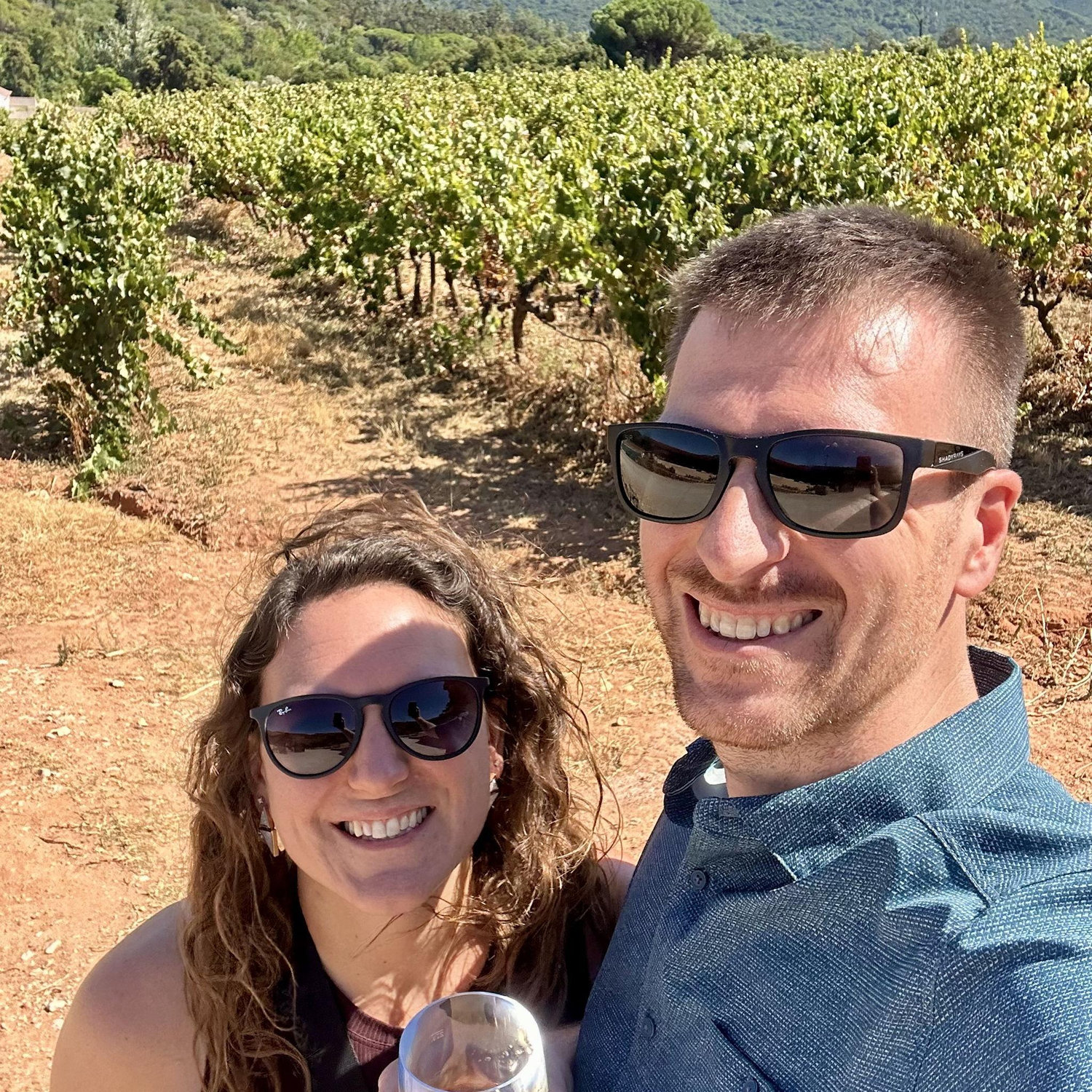 Vineyard -Portugal