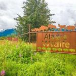 Alaska Wildlife Conservation Center