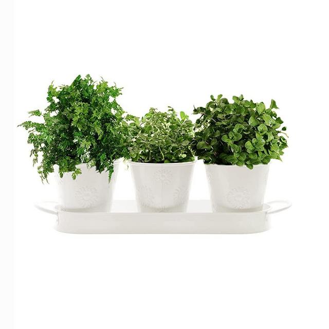 Barnyard Designs Farmhouse Herb Garden Planter Indoor Planter Set with Tray Outdoor Apartment Window Planter Box, Windowsill Planter Box, Indoor Herb Planter Garden Pots Herb Pots, White, Set/3