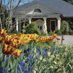 Dixon Gallery & Gardens