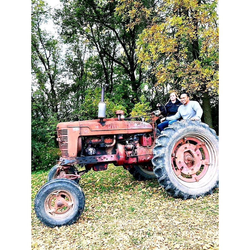 Picking pumpkins