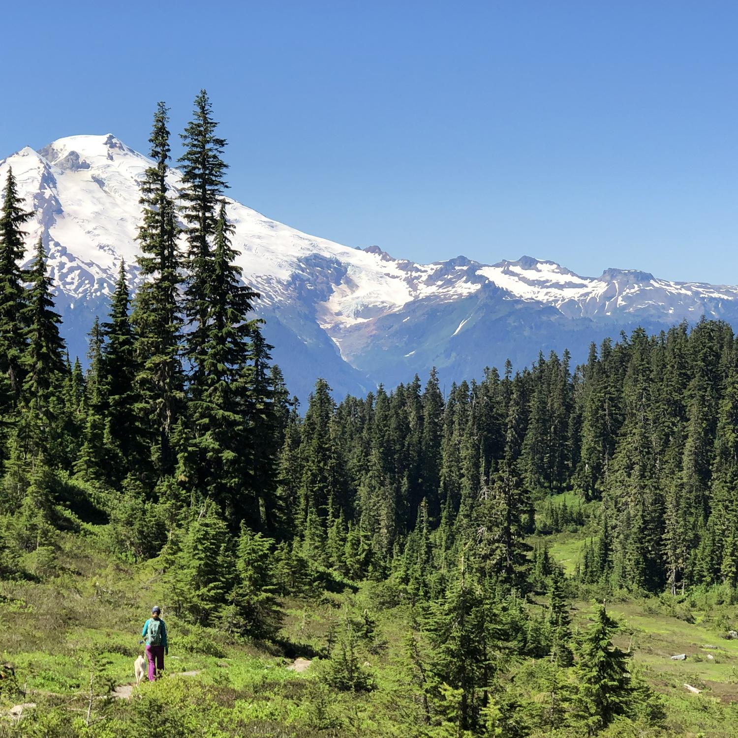 Hiking in the Cascades near Mt. Baker