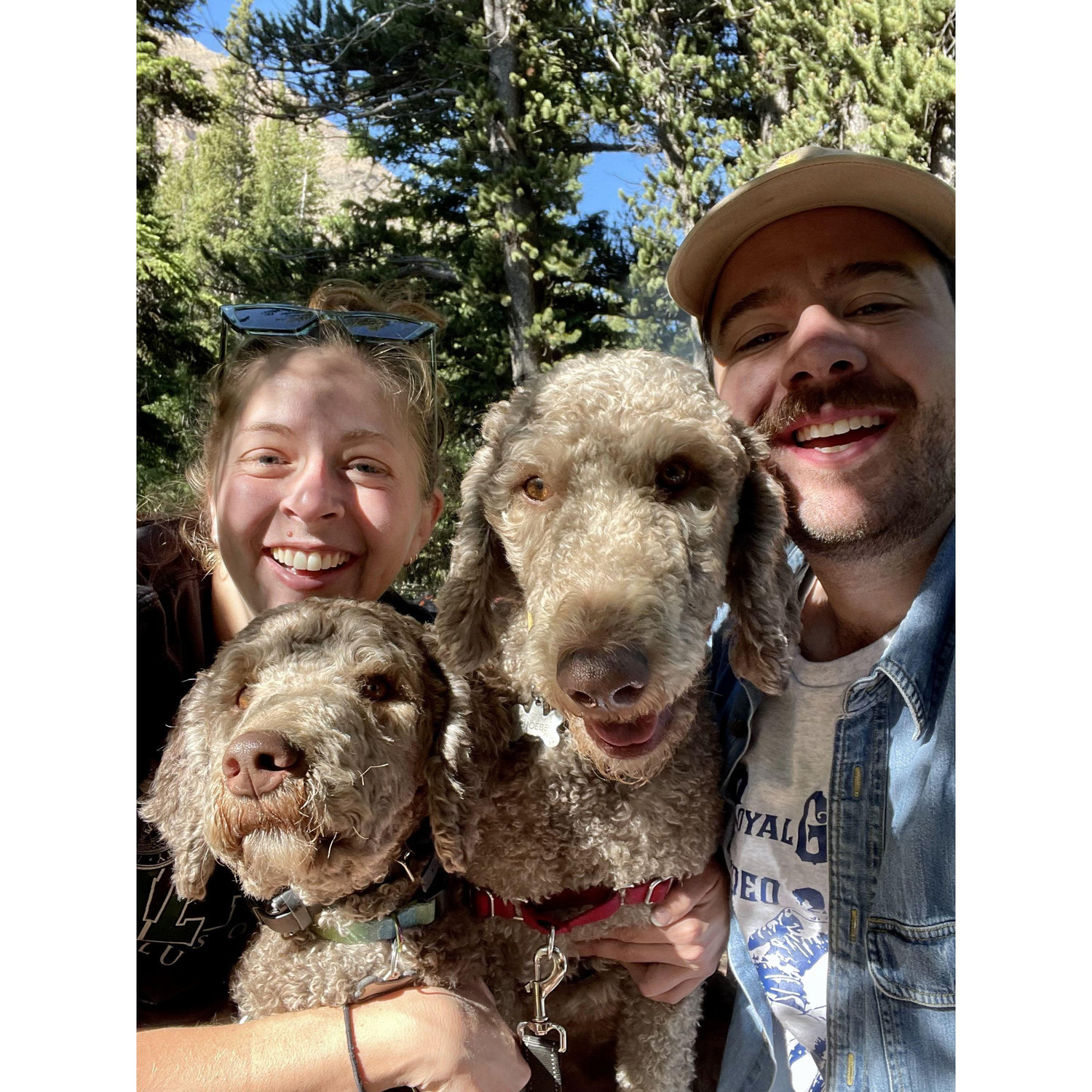 Camping with friends and dogs!