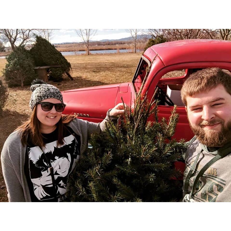 Christmas tree hunting