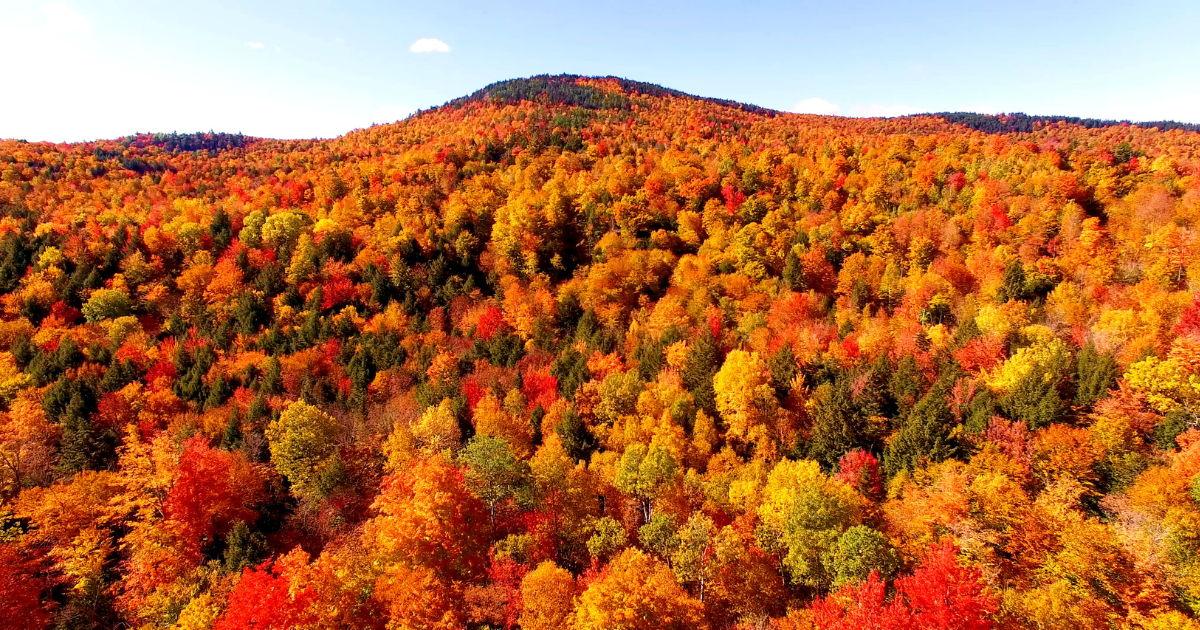 The Wedding Website of Kayt Ministeri and Steve LeBrun