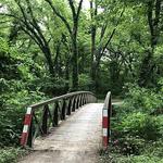 Little Blue Trail