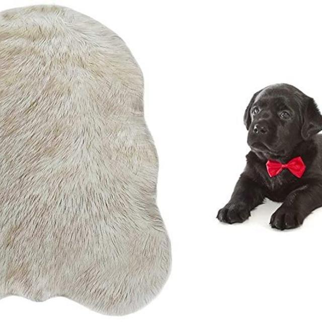 iHappyDog Luxury Faux Fur Orthopedic Dog Bed, Memory Foam Dog Bed​ for​ Small, Medium, Large and XL Pets, Fluffy Pup Rug with Waterproof ​and ​Washable Soft Cover, Bone White