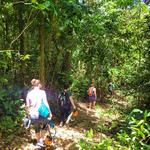 El Yunque National Forest
