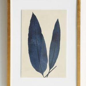 Indigo Ferns Wall Art - 1