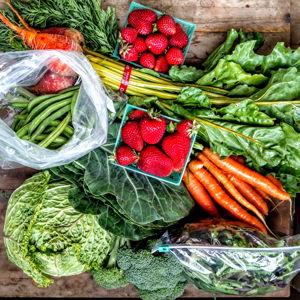 Help fund our CSA subscription!
