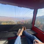 Gondola Skyride