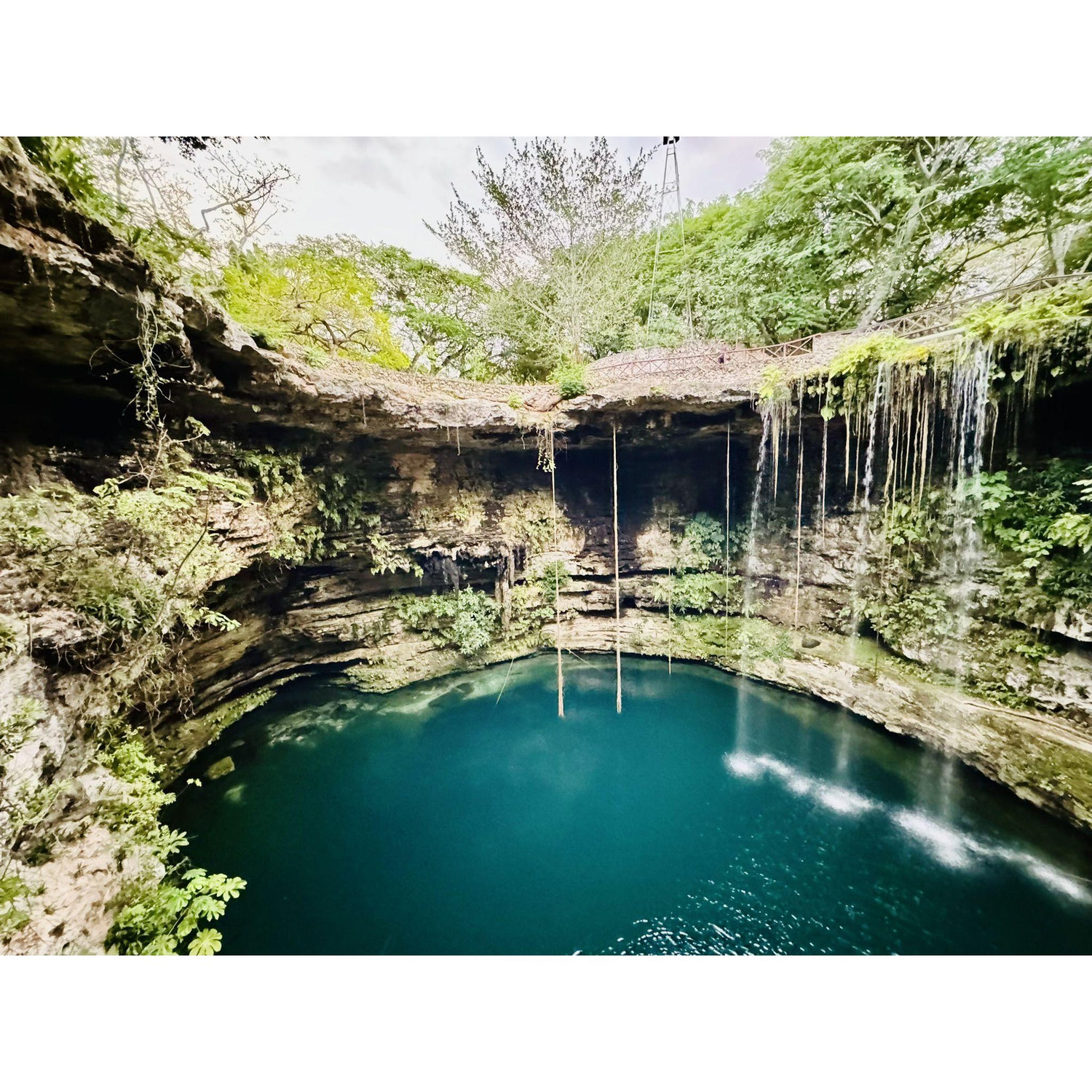 One of the cenotes we went to in Tulum