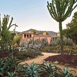 Santa Barbara Botanic Garden