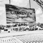 Grandview Vineyard