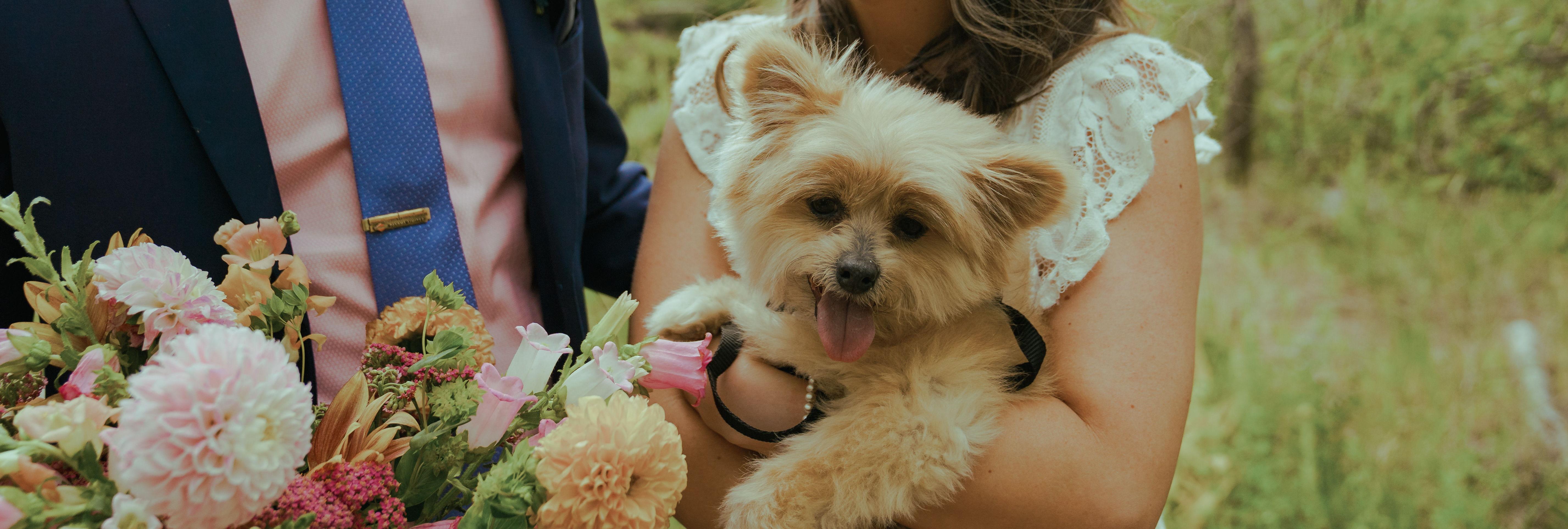 The Wedding Website of Mayra Ramirez and Spencer Mowatt