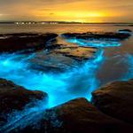 Bahía Bioluminiscente