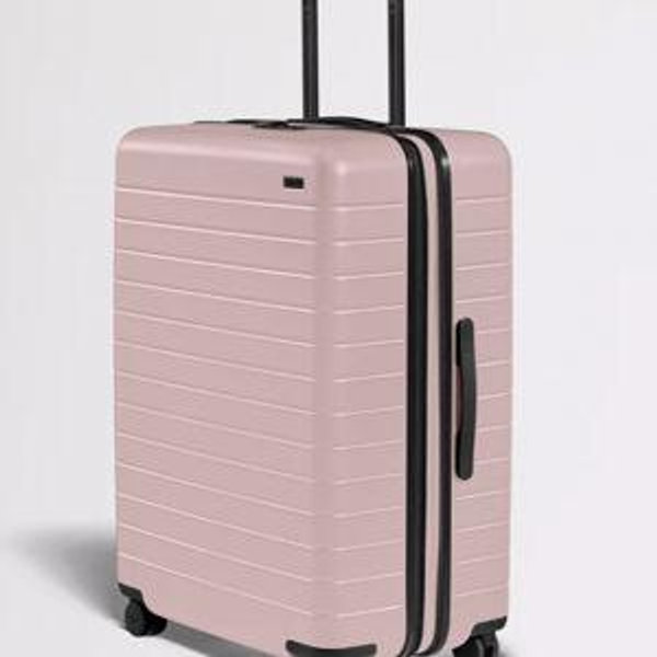 The Large Flex in Blush Pink