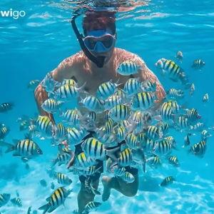 Snorkeling in Langkawi