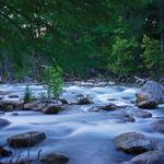 Guadalupe River State Park