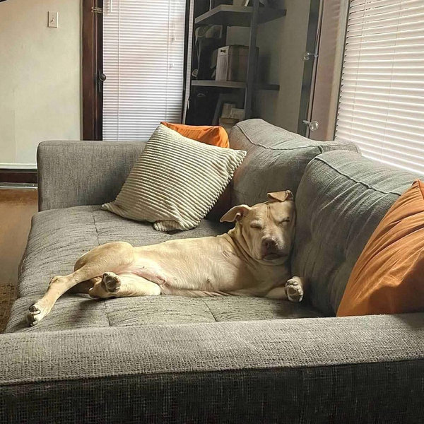 New Couch