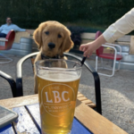 Lynnwood Brewing Concern