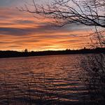 Pickering Ponds Trail