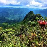 El Yunque Rain Forest Hiking, Waterfalls, and Rock Slides