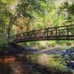 Charles A. Lindbergh State Park