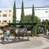 Blue Bell Creameries