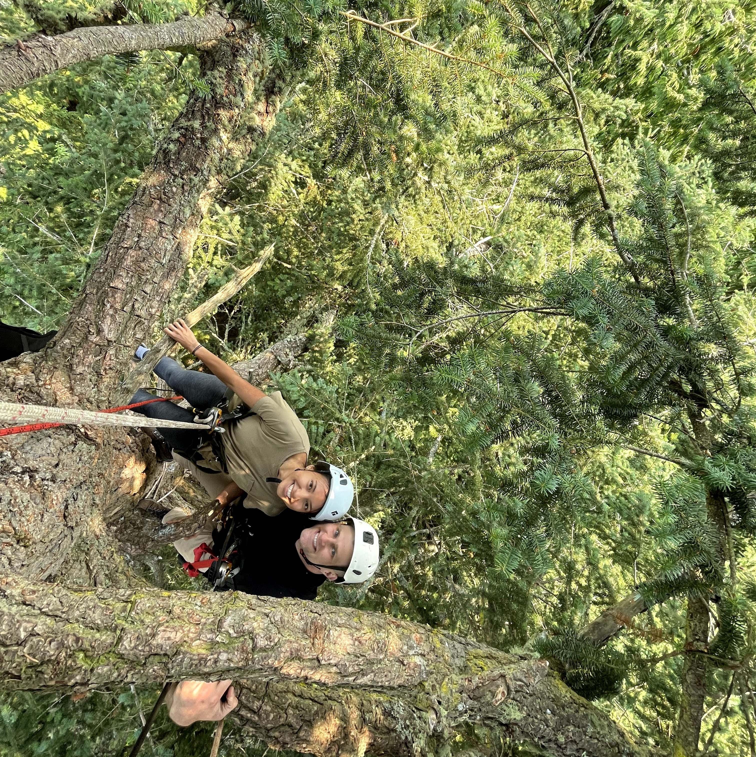 We climbed trees to celebrate our 6 months!