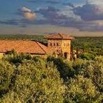 Texas Hill Country Olive Co.