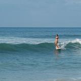 Surf