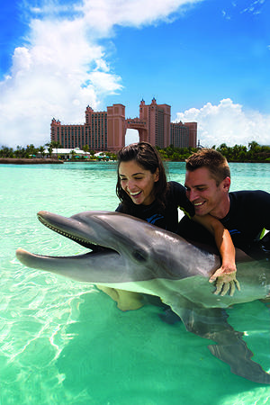 The Cove at Atlantis, fun activities for the week!
