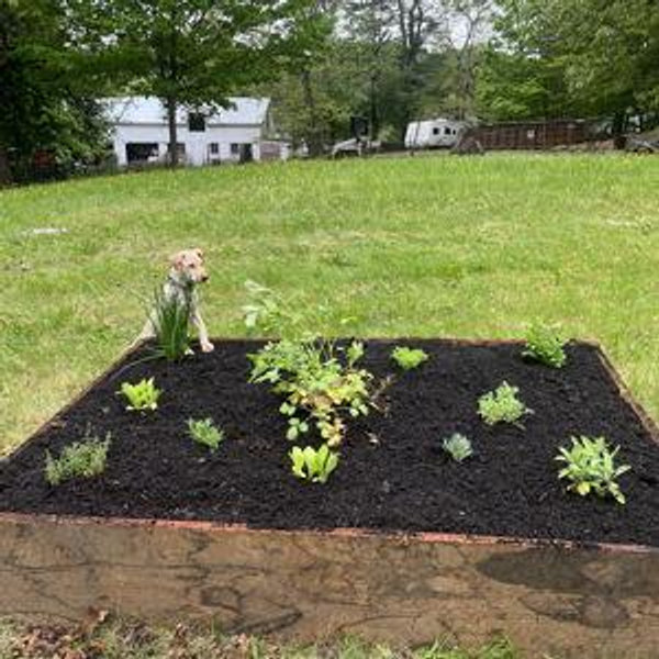 Farm Fund